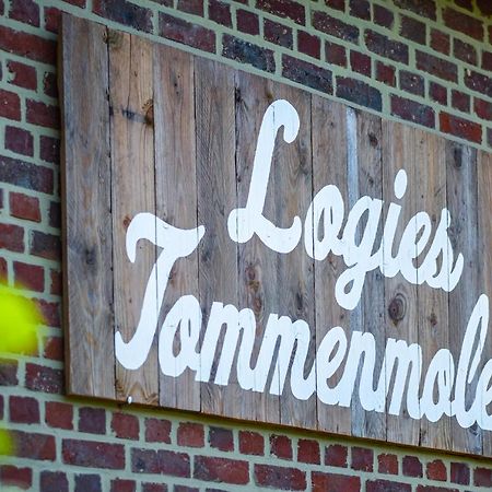 Apartmán Logies Tommenmolen Grimbergen Exteriér fotografie